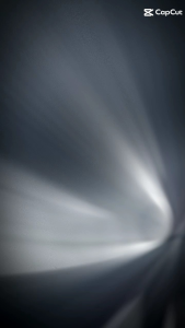 Lười Nhựa Dẻo Nguyên Sinh- Lưới Làm Vườn- Lười Quây Gà-Làm sàn Chịu Nóng Cao1m