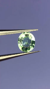 0.50 กะรัต | ทัวร์มาลีนสีเขียว | 5.5x4.6x2.6มม. | ทรงรี | 0.50 carat | Green Tourmaline | 5.5x4.6x2.6mm | Oval