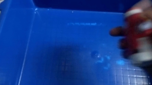 Paket 10 susu Milkuat botol 65ml