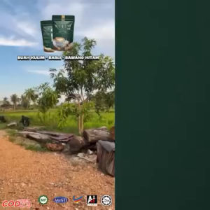 KOPI BUAH KULIM + BARLI ORIGINAL HQ AI GLOBAL READY STOCK VIRAL