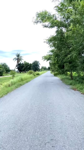 กางเกงขาบานลายการ์ตูน