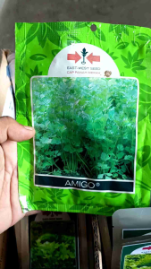 BENIH SELEDRI AMIGO ISI 10.000 BUTIR - CAP PANAH MERAH