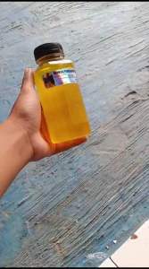 HORMON PENGGACOR SEKETIKA