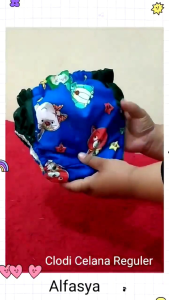 Popok Clodi Tipe Celana Paket 12 Biji Popok Bayi Popok Anak Popok Cuci Ulang termurah