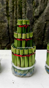 Bambu Hoki / Bambu Rejeki Pagoda Susun 3 Spiral Mahkota Sumur Kipas Satuan / Ecer Tinggi 15 cm