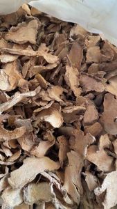 ว่านไพล ว่านไพลตากแห้งแท้100% มีหลายขนาดให้เลือกซื้อ #สมุนไพรไทย ขมิ้นว่านไพลแท้