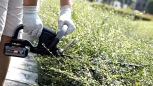 เครื่องตัดพุ่มไม้ไร้สาย OSUKA ของแทร่