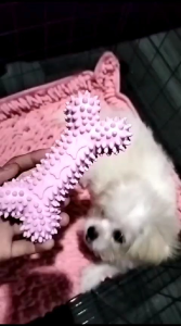 MAINAN MODEL TULANG GIGITAN ANJING BAHAN PLASTIK