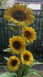 Bunga Matahari Super Jumbo Artificial: 5 Kuntum + Pot Kayu/Bunga Pojok Ruangan