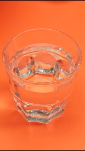 Cleine Tadita Petshop - Makanan Kucing Kering Chester 800 gram fresh pack