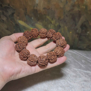 Gegegems XL 23.5 to 24mm+ premium natural Nepal Rudraksha high altitude (dense & high natural oil contents) pinkish same tree both sides Plum Flower Needle holes Honeycomb Double Dragons 5 Mukhi bracelet
