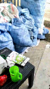 1 m x 20 m lubang 3cm x 3cm jaring pagar ayam atau bebek dll harga 1 pcs