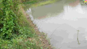 Deskripsi Geol Mini Outo WTD 3cm Baban Full Action