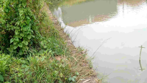 geol super mini 2cm baban ultralight
