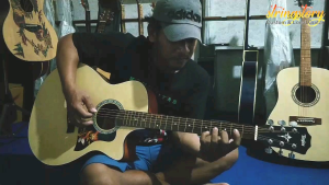 Gitar Akustik Taylor Tanam Besi Bonus Tas Gratis Packing Kayu
