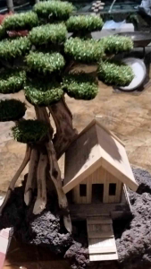 bonsai rumah miniatur hiasan akuarium dekorasi aquascape