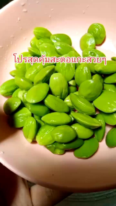 โปร สุดคุ้ม ‼️‼️ขนาด500กรัม ‼️สะตอแกะเม็ดเล็กติดออ่นแกะสวยไม่มีหนอนแกะสดทุกวันราคาพิเศษสุดๆๆ