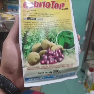Cabrio top | Fungisida BASF | untuk tanaman
