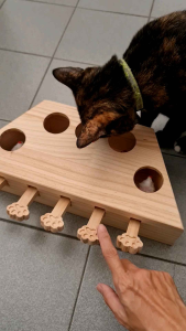 ของเล่นแมว เกมฝึกทักษะแมว เกมจับหนู