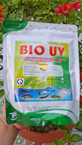 BIO UV 1KG – Vi Sinh Xử Lý Nước Ao Tôm Cá Phân Hủy Hữu Cơ Hỗ Trợ Giảm NH3 H2S NO2