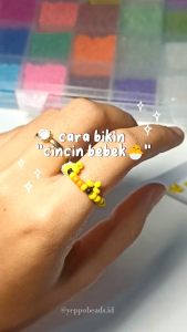 Set Box Manik 10 Sekat untuk Kerajinan DIY