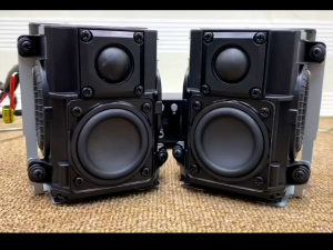 Loa Harman Kardon 30w chính hãng - loa bán thành phẩm tháo thiết bị DIY