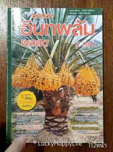 หนังสือเกษตร ยุคทอง อินทผลัม 5 ภาค Date Plum อินทผาลัมผลสด การขยายพันธุ์ด้วย เมล็ด หน่อ การเพาะเนื้อเยื่อ การผสมเกสร