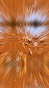 ปลาร้าปลาสร้อย ขนาด 1000 กรัม