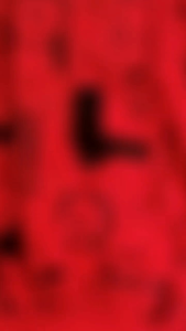 3 PCS Celana pendek Anak Laki laki perempuan bahan kaos usia 2-12 tahun  Fashion anak