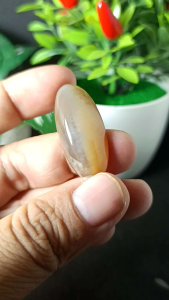 batu akik pandan