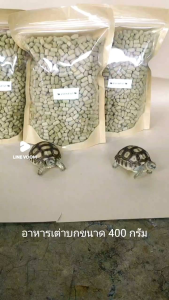 อาหารเต่าบก สูตรเร่งโต เสริมแคลเซียมไห้น้อง🐢