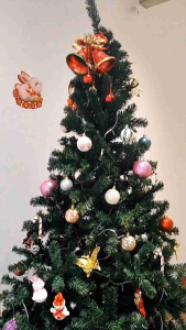 Christmas Trees 2024 Decoration trees full density trees