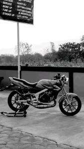 STRIPING STICKER ORI LIS STANDAR DECAL KAWASAKI NINJA SS tahun 2012 2013 HIJAU