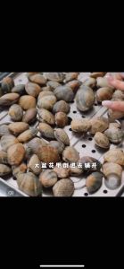 英国CUKO高端电蒸锅多功能家用20L智能透明蒸汽锅蒸鱼蒸菜