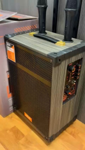 NDR 12 Inch Karaoke Speaker with Trolley & Wireless Mic