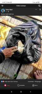 Essen Blal Blel | Essential oil blal blel untuk bandul & lumut | ukuran 5 ml