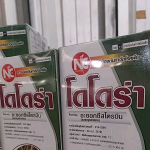 โดโดร่า อะซอกซีสโตรบิน (Azoxystrobin) 25% ออกฤทธิ์ดูดซึมเข้าสู่พืชอย่างรวดเร็ว ป้องกันแอนแทรคโนส โรคใบไหม้ ใบติด กาบใบแห้ง