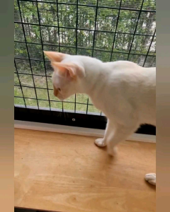 (12ชิ้น)ชุดอุปกรณ์ทำสวน/หัดปลูกต้นไม้เล็กๆครบชุด12ชิ้น