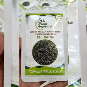 1.000 Biji Pohon Balsa Putih Super Premium