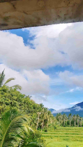 TAGAY Lambanog – Premium Distilled Coconut Liquor Liliw-Made Filipino Spirit 375ml & 750ml