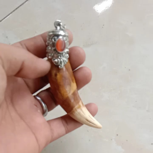 liontin taring harimau