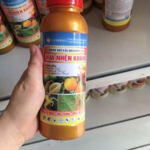 Thuốc trừ sâu nhện VUA NHỆN KHÁNG 450ml Sạch nhện Ung trứng