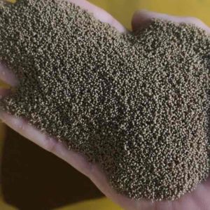 1 Kg Thức Ăn - 42% đạm ( 0.8 mm - màu sậm đen ) Cho Cá vàng Màu Cá ba đuôi Cá neon cá chuột cá Trâm Ớt mini tam giác vây xanh notho ngựa vằn cá Otto Ngọc trai tôm kiểng nhỏ…. Và các loại cá kiểng cần ăn thức ăn hạt nhỏ khác.