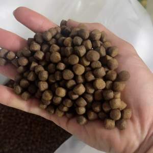 1 Kg Thức Ăn (  8.0 mm   ) Cho Cá Chép vàng Màu Cá ba đuôi Cá koi  cá Hồng Két cá tai tượng cá lóc cá trê…. Và các loại cá kiểng cần ăn thức ăn hạt nổi size lớn