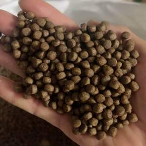 1 Kg Thức Ăn ( 6.0 mm ) Cho Cá Chép vàng Màu Cá ba đuôi Cá koi cá Hồng Két cá tai tượng cá lóc cá trê…. Và các loại cá kiểng cần ăn thức ăn hạt nổi size to