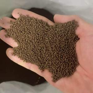 1 Kg Thức Ăn - 42% đạm ( 1.0 mm - màu sậm đen ) Cho Cá vàng Màu Cá ba đuôi Cá neon cá chuột cá Trâm Ớt mini tam giác vây xanh notho ngựa vằn cá Otto Ngọc trai tôm kiểng nhỏ…. Và các loại cá kiểng cần ăn thức ăn hạt nhỏ khác.