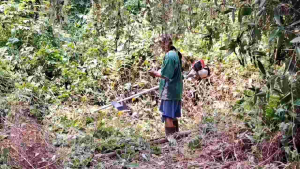 เครื่องตัดหญ้า 4 จังหวะ 4 แรงม้า รุ่น GX35 มาตรฐานระดับญี่ปุ่น ทนทาน ประหยัดน้ำมัน น้ำหนักเบา สินค้าตรงปก💯  รับประกัน1 ปีเต็ม