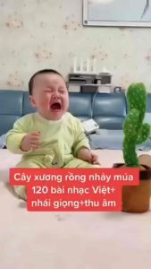 Cây xương rồng nhảy múa phát nhạc 120 bài nhại giọng đáng yêu. Đòi chơi giải trí giảm căng thẳng