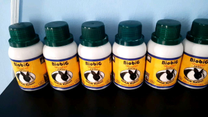 BIOBIG VITAMIN KELINCI JAMU HERBAL PENAMBAH NAFSU MAKAN KELINCI 100ML
