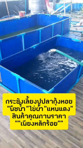 เลี้ยงกุ้ง ปู ปลา เลี้ยงผำ ปลูกผักครบจบในบ่อเดียว! กระชัง 1.2×3×0.4 เมตร
